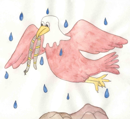 An Eagle's sore eyes