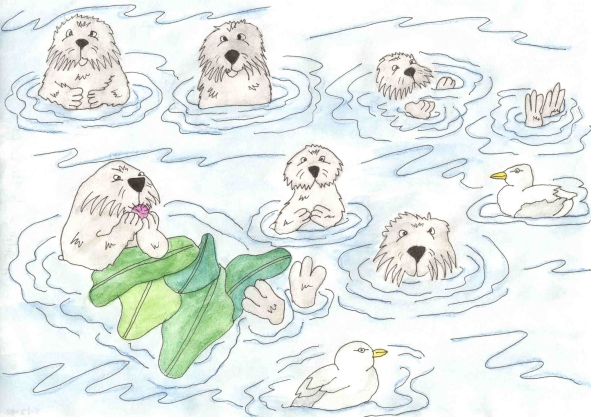 A Surprise in the Kelp