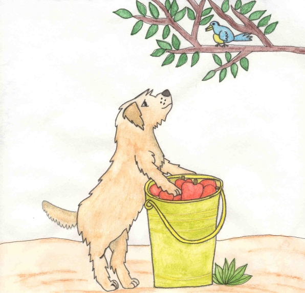 Tavish Goes To the Orchard