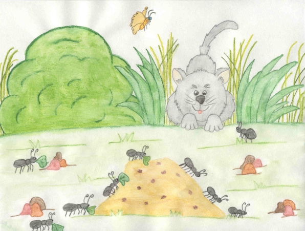 Alexander�s Adventures