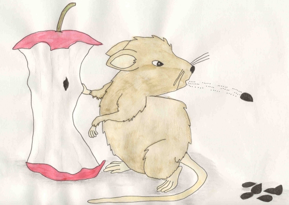 It�s Much Better To Be Tidy