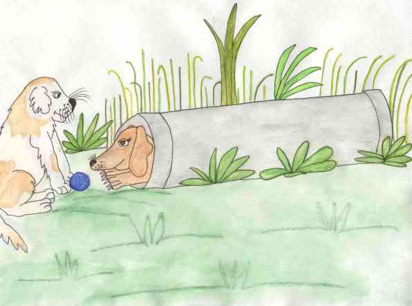 Give Me Back My Ball!