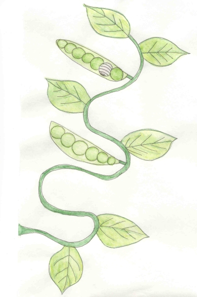 Buggy Hide and Buggy Seek