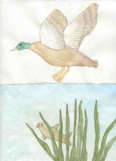 Be careful who you tease