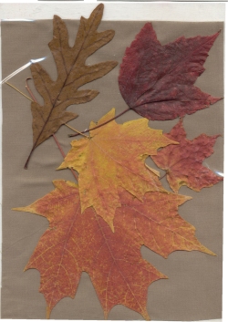 Autumn Leaf Placemats