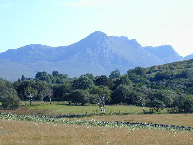 view of ben loyal