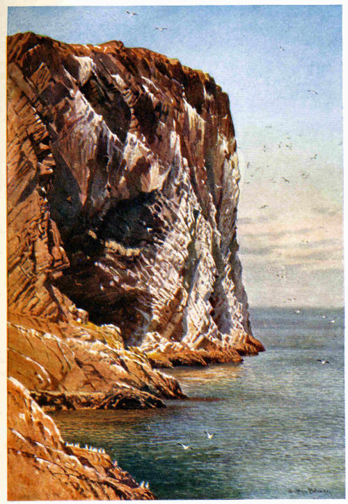 The Bass Rock, Firth of Forth, off the coast of Haddingtonshire