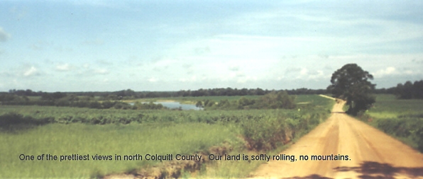 View of North Colquitt County