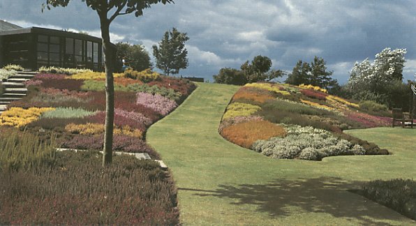 A Heather Garden