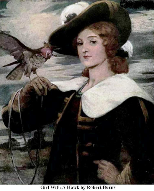 Girl with a Hawk. By Robert Burns