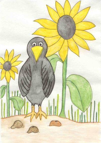 Sunflower Seeds and Crows