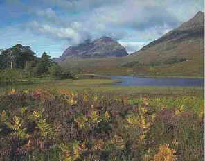 Liathach, one of the famous Munro Mountains
