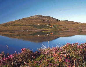 Loch Bad na Sgalaig, near Loch Maree