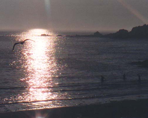 Saline Bay, July 1994.jpg