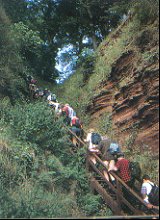 A group of walkers climb Jacob's Ladder, near Jedburgh