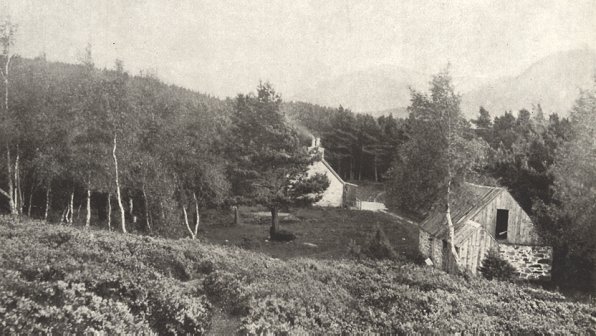 The "Forest Cabin" where the author lived